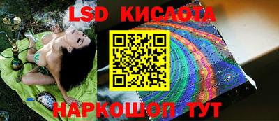 шишки Свободный