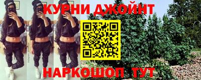 сатива Севастополь