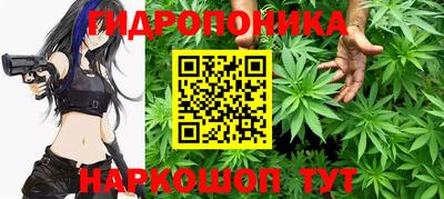 шишки Свободный