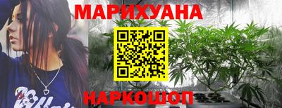 сатива Севастополь