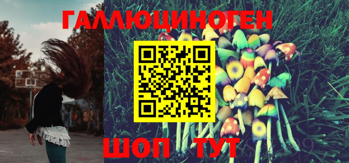 Псилоцибиновые грибы прущие грибы Сальск