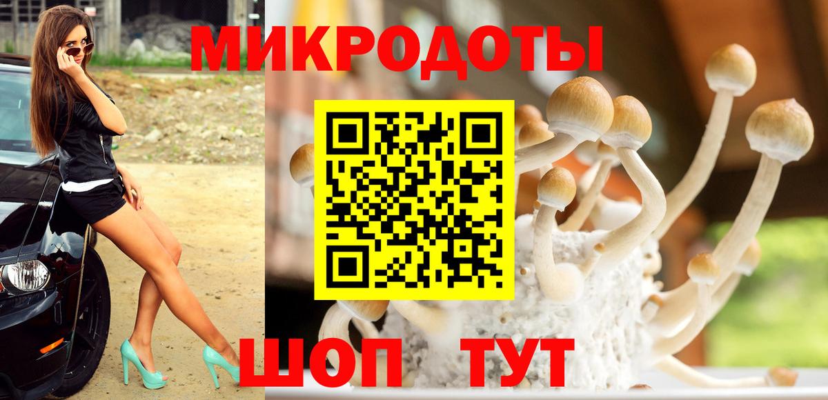 Псилоцибиновые грибы прущие грибы  Псилоцибиновые грибы ЛСД  дарнет шоп  Вход с VPN  Сальск 