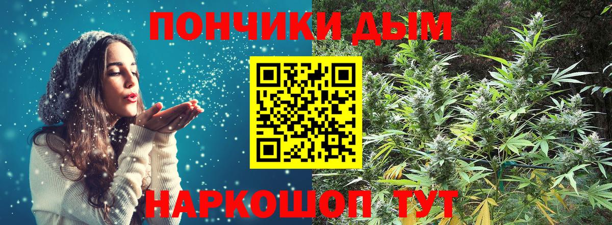 Сальск  Бошки марихуана семена  Конопля White Widow  Марихуана SATIVA & INDICA  Вход с VPN  Конопля OG Kush 